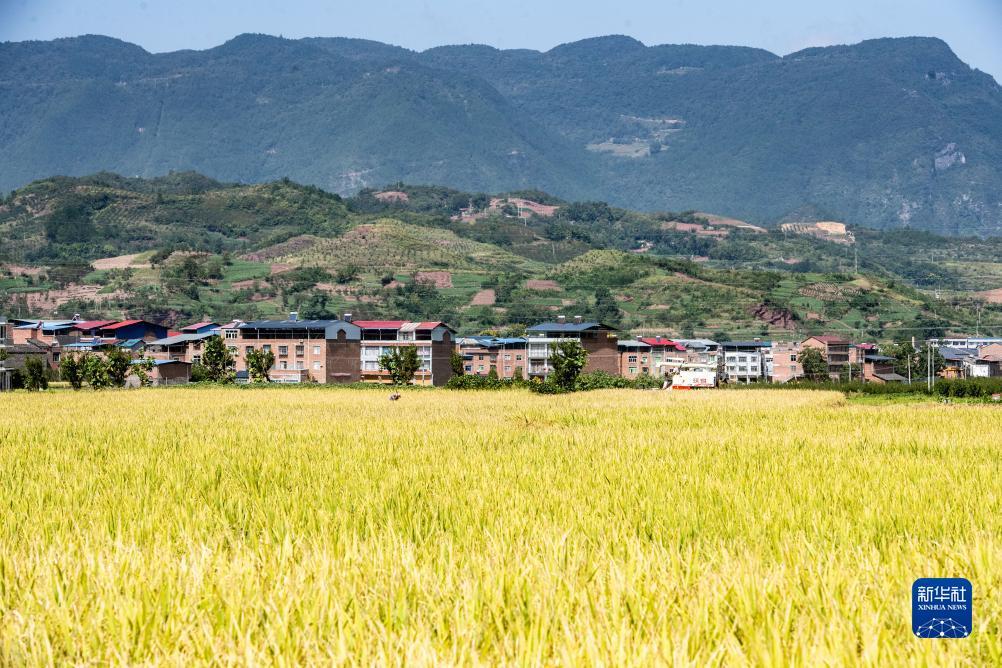优游注册